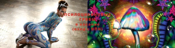 гашиш Беломорск