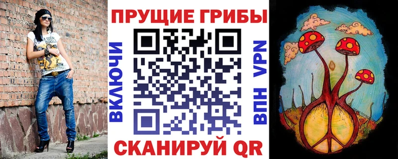 blacksprut tor  Гороховец  Псилоцибиновые грибы мицелий 